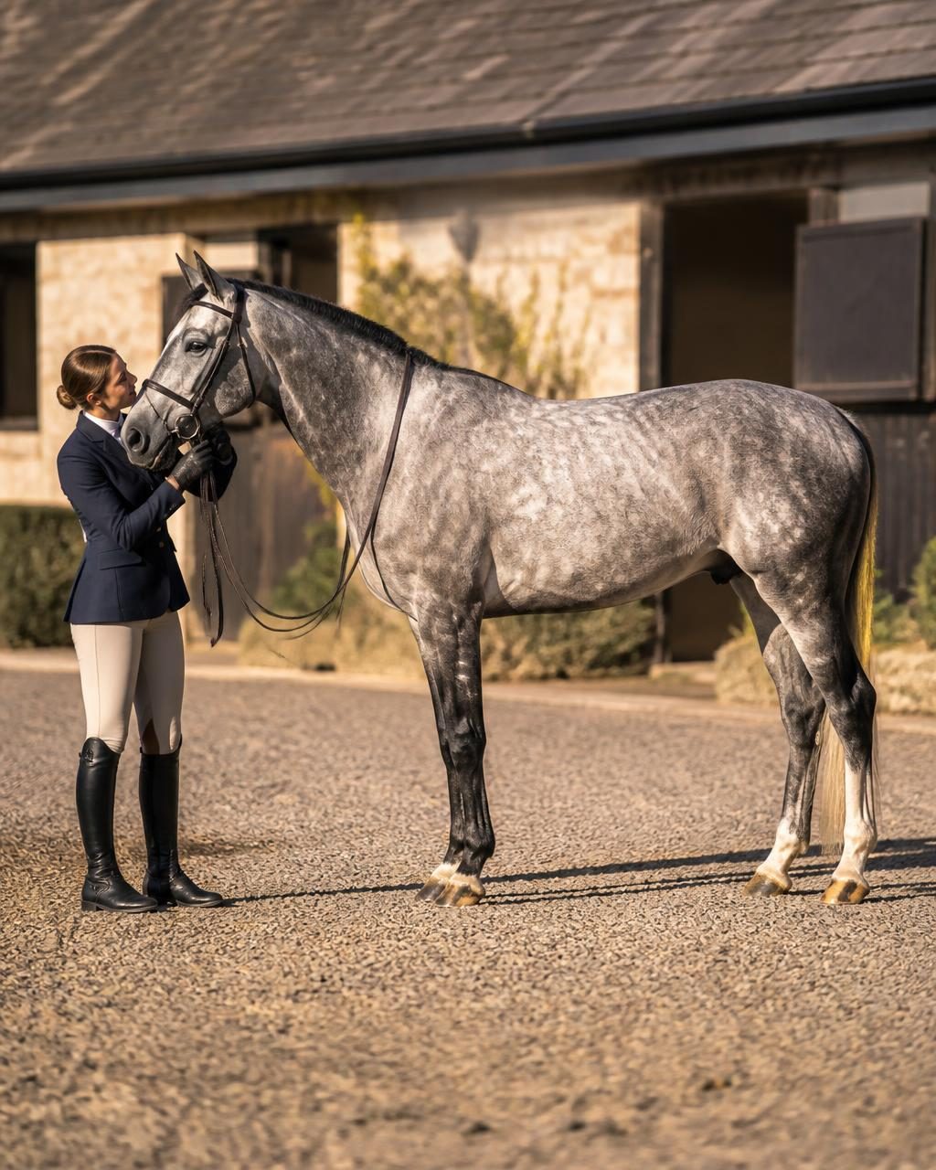 Rider in a navy jacket and tall boots holding a dappled grey horse in a stable yard